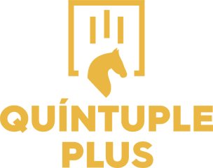 logo_Quintuple